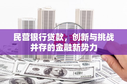 奎文民营银行贷款，创新与挑战并存的金融新势力