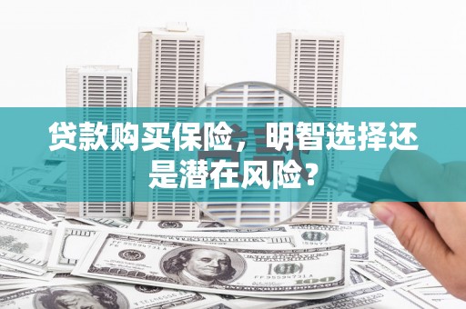 奎文贷款购买保险，明智选择还是潜在风险？