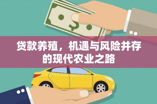 奎文贷款养殖，机遇与风险并存的现代农业之路