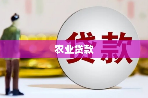 奎文农业贷款