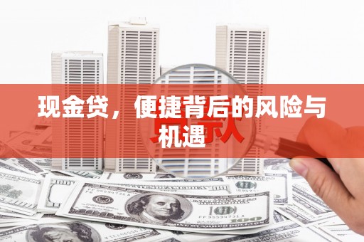 奎文现金贷，便捷背后的风险与机遇