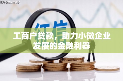 奎文工商户贷款，助力小微企业发展的金融利器