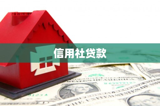 奎文信用社贷款