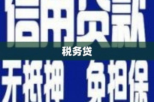 奎文税务贷