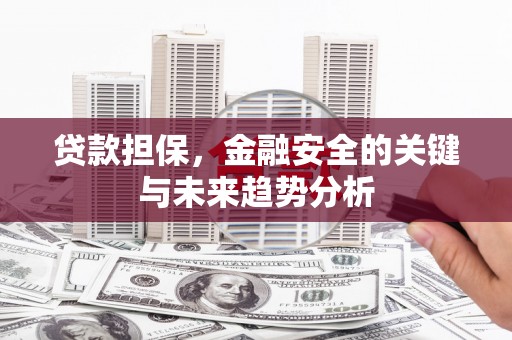 奎文贷款担保，金融安全的关键与未来趋势分析