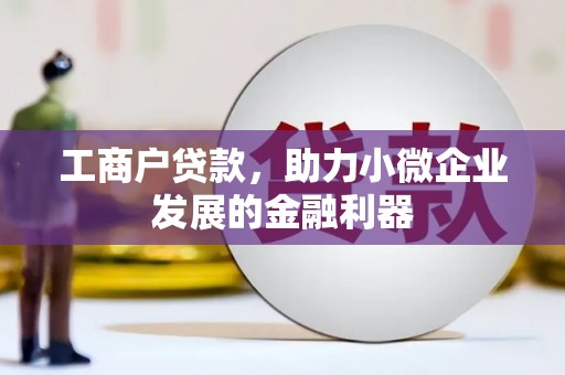 奎文工商户贷款，助力小微企业发展的金融利器