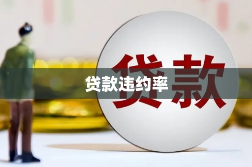 奎文贷款违约率