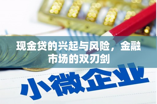 奎文现金贷的兴起与风险，金融市场的双刃剑