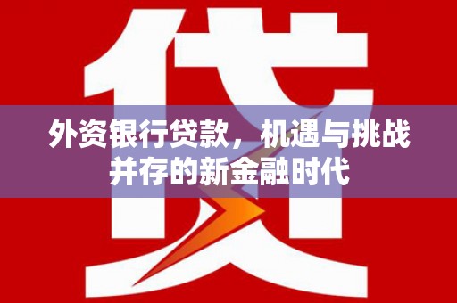 奎文外资银行贷款，机遇与挑战并存的新金融时代