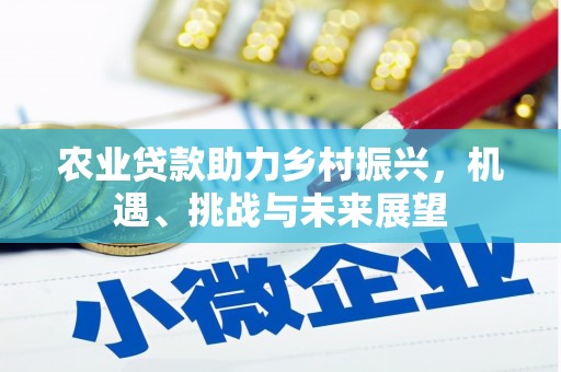 奎文农业贷款助力乡村振兴，机遇、挑战与未来展望