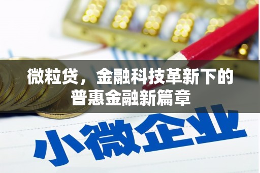 奎文微粒贷，金融科技革新下的普惠金融新篇章