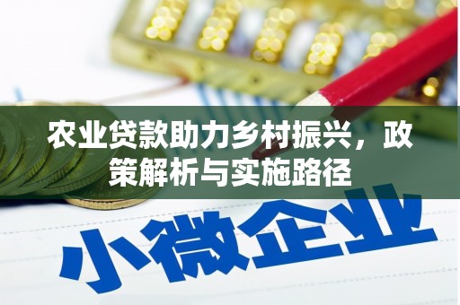 奎文农业贷款助力乡村振兴，政策解析与实施路径