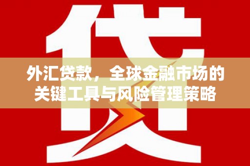奎文外汇贷款，全球金融市场的关键工具与风险管理策略