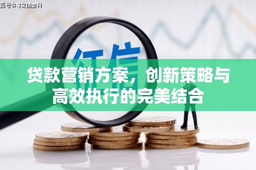 奎文贷款营销方案，创新策略与高效执行的完美结合