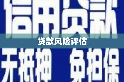 奎文贷款风险评估
