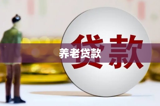 奎文养老贷款