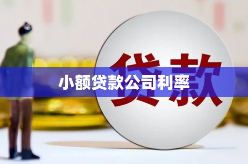 奎文小额贷款公司利率