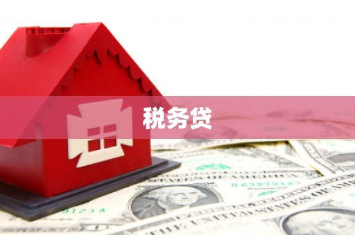 奎文税务贷