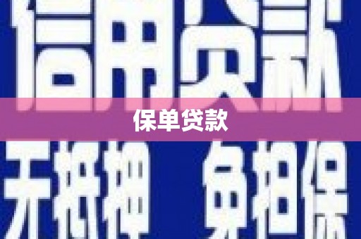 奎文保单贷款