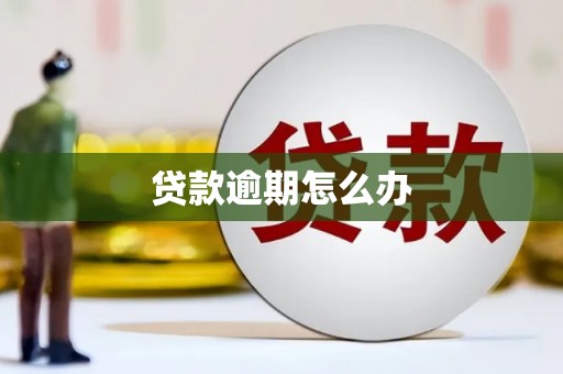 奎文贷款逾期怎么办