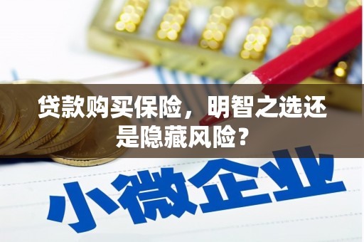 奎文贷款购买保险，明智之选还是隐藏风险？