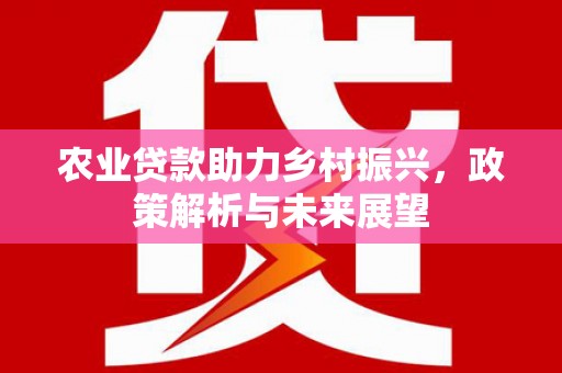 奎文农业贷款助力乡村振兴，政策解析与未来展望