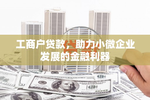 奎文工商户贷款，助力小微企业发展的金融利器
