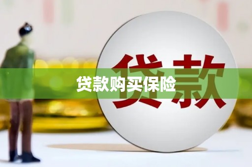 奎文贷款购买保险