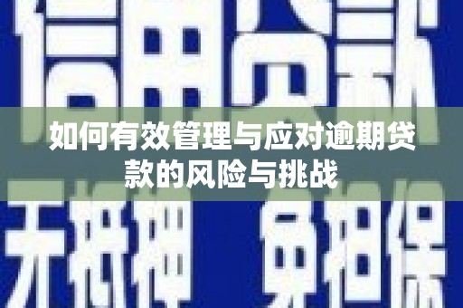 奎文如何有效管理与应对逾期贷款的风险与挑战