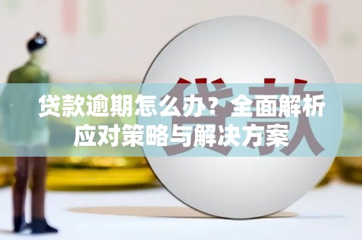 奎文贷款逾期怎么办？全面解析应对策略与解决方案