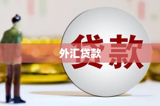 奎文外汇贷款