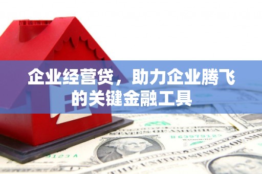 奎文企业经营贷，助力企业腾飞的关键金融工具