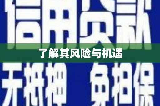 奎文了解其风险与机遇