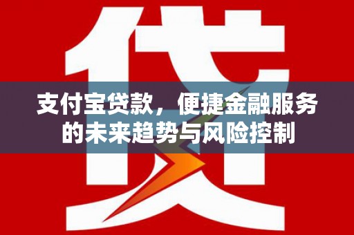 奎文支付宝贷款，便捷金融服务的未来趋势与风险控制