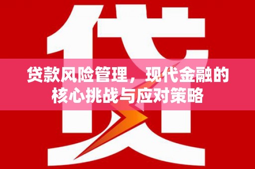 奎文贷款风险管理，现代金融的核心挑战与应对策略
