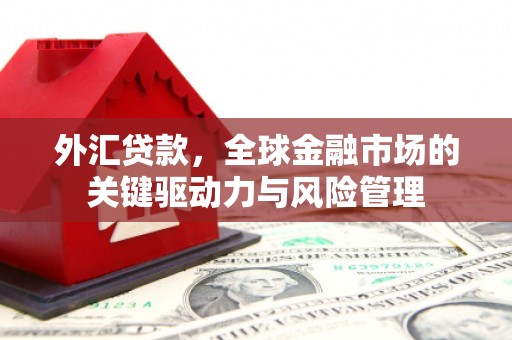奎文外汇贷款，全球金融市场的关键驱动力与风险管理