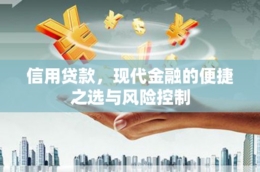 奎文信用贷款，现代金融的便捷之选与风险控制