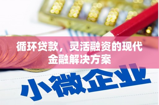 奎文循环贷款，灵活融资的现代金融解决方案