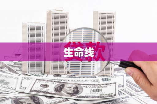 奎文生命线