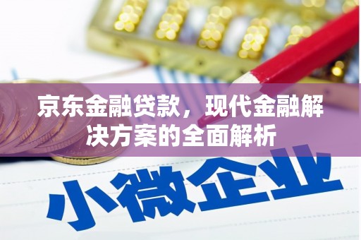奎文京东金融贷款，现代金融解决方案的全面解析