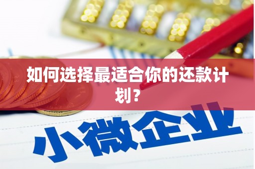 奎文如何选择最适合你的还款计划？