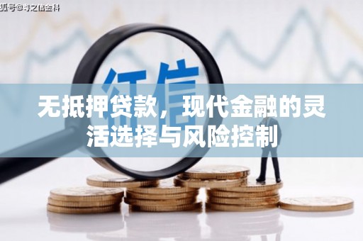 奎文无抵押贷款，现代金融的灵活选择与风险控制