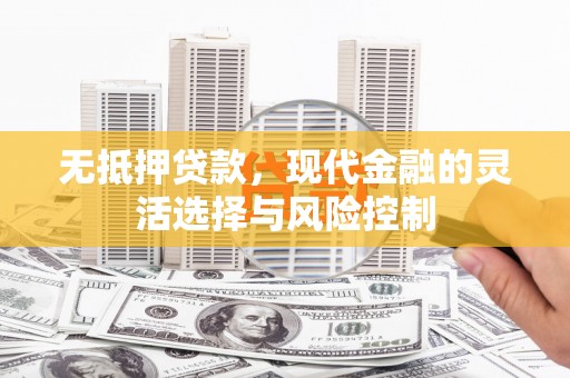 奎文无抵押贷款，现代金融的灵活选择与风险控制