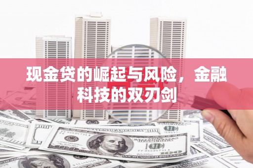 奎文现金贷的崛起与风险，金融科技的双刃剑