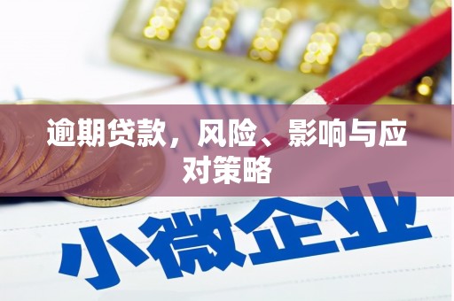 奎文逾期贷款，风险、影响与应对策略