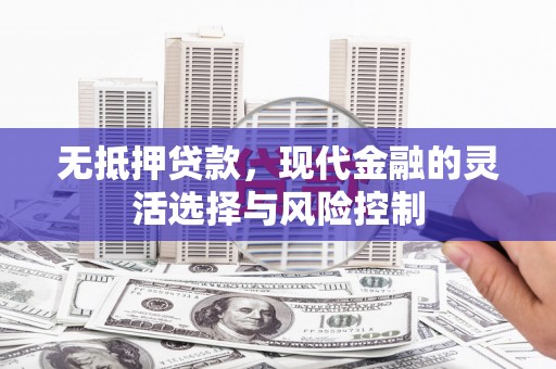 奎文无抵押贷款，现代金融的灵活选择与风险控制
