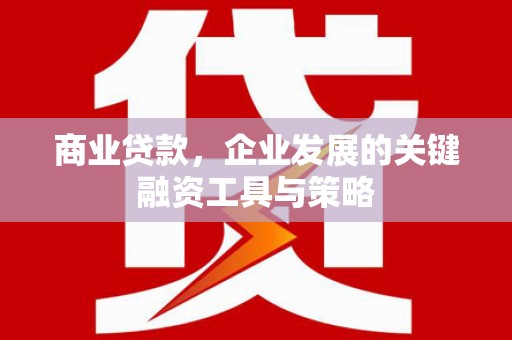 奎文商业贷款，企业发展的关键融资工具与策略