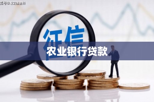 奎文农业银行贷款