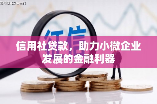 奎文信用社贷款，助力小微企业发展的金融利器
