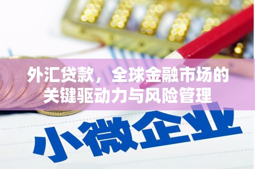 奎文外汇贷款，全球金融市场的关键驱动力与风险管理
